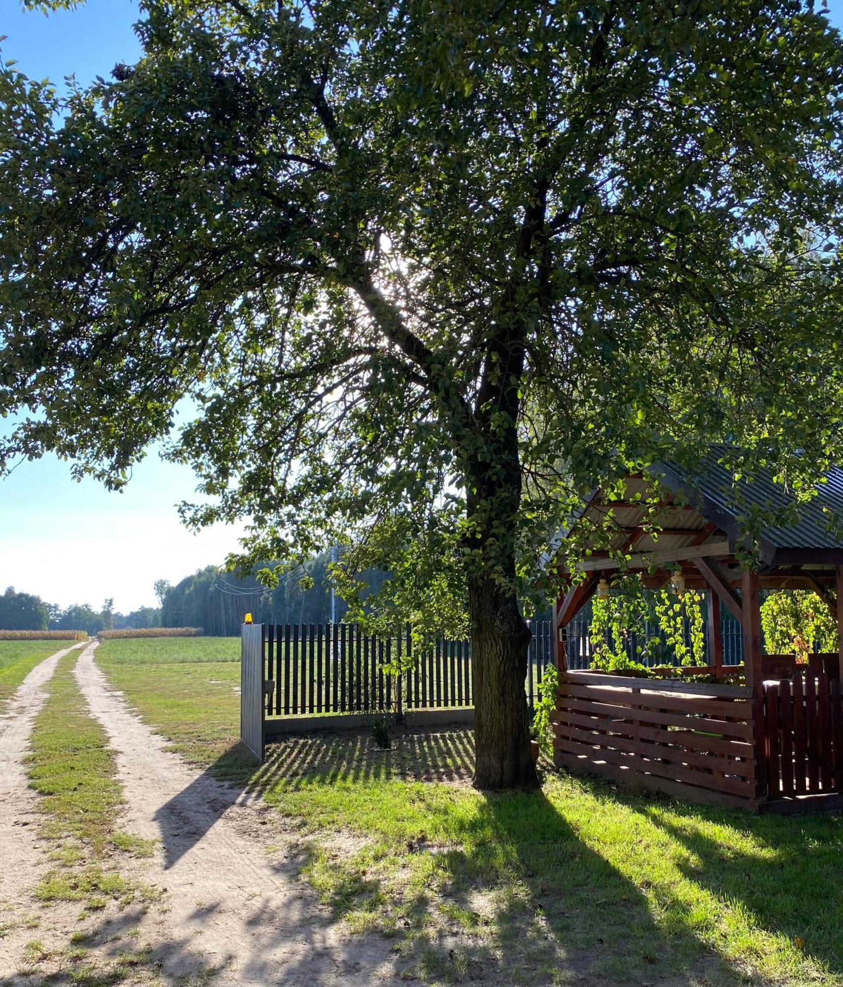 Maciejowka Gospodarstwo Agroturystyczne Poddebice エクステリア 写真